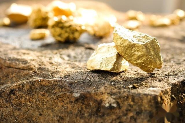 IMG_256